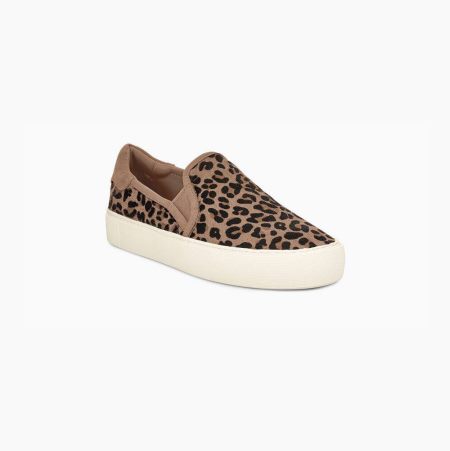 UGG Jass Exotic Beige Sneakers for Women (RIES61429)